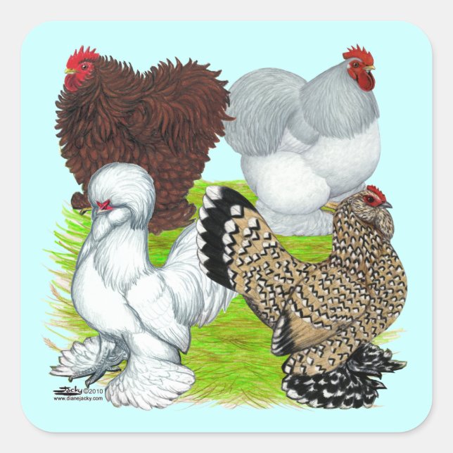Bantams Feather Leged Quadratischer Aufkleber (Vorderseite)