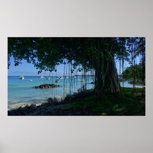 Banyan am Strand Poster (Vorne)