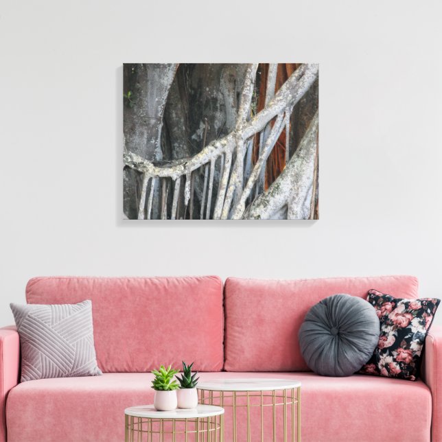 Banyan Tree Closeup Foto Leinwanddruck (Insitu (Wohnzimmer))