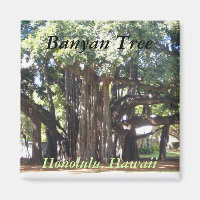 Banyan Tree