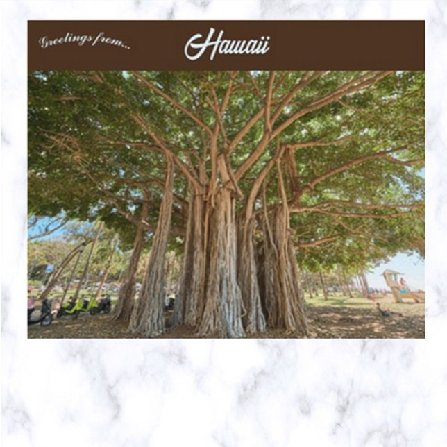 Banyan Tree Queens Beach in Honolulu Oahu Hawaii Postkarte (Von Creator hochgeladen)