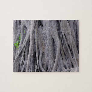 Banyan Tree Trunk