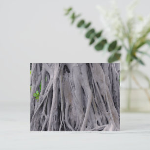 Banyan Tree Trunk Postkarte