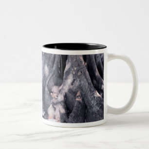 Banyan Tree Zweifarbige Tasse