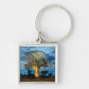 Baobab (Adansonia) Baum leuchtet auf dem Mond Schlüsselanhänger