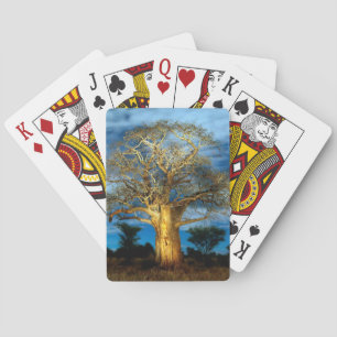 Baobab (Adansonia) Baum leuchtet auf dem Mond Spielkarten
