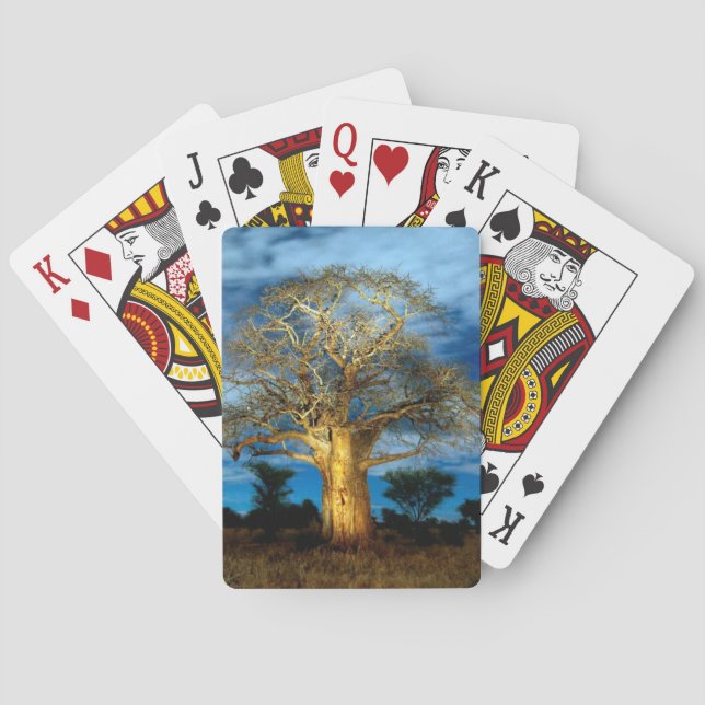 Baobab (Adansonia) Baum leuchtet auf dem Mond Spielkarten (Rückseite)