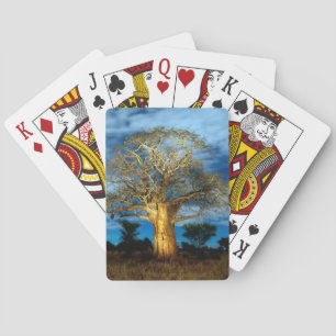 Baobab (Adansonia) Baum vom Mond erleuchtet Spielkarten