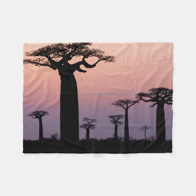 Baobab-Allee', Madagaskar, Morondava, Afrika, Fleecedecke (Vorderseite (Horizontal))