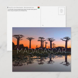 Baobab-Allee, Madagaskar Reise-Postkarte Postkarte