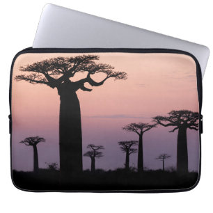 Baobab Alley', Madagaskar, Morondava, Afrika, Laptopschutzhülle