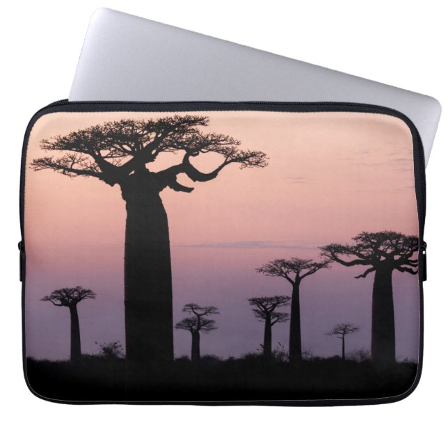 Baobab Alley', Madagaskar, Morondava, Afrika, Laptopschutzhülle (Vorderseite)