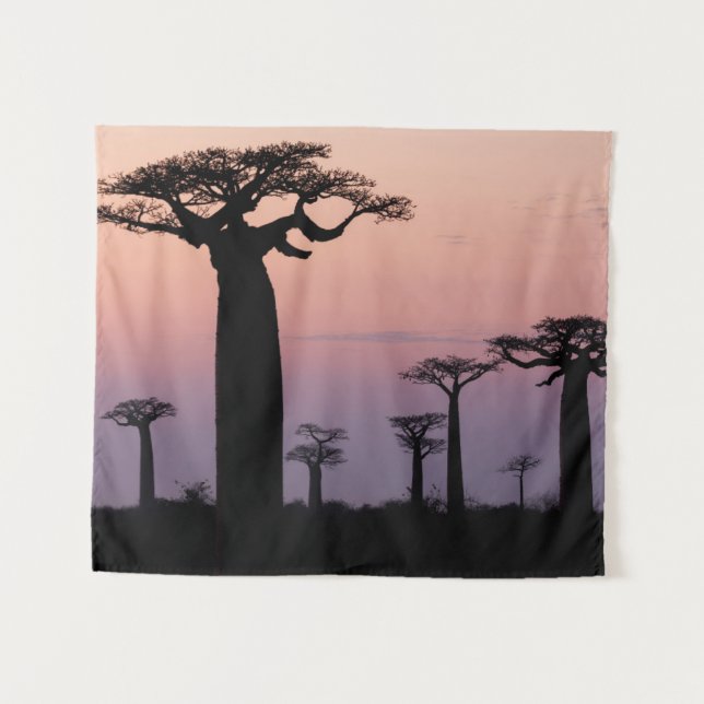 Baobab Alley', Madagaskar, Morondava, Afrika, Wandteppich (Vorderseite (Horizontal))