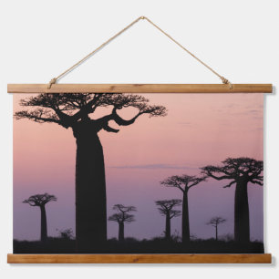 Baobab Alley', Madagaskar, Morondava, Afrika, Wandteppich Mit Holzrahmen