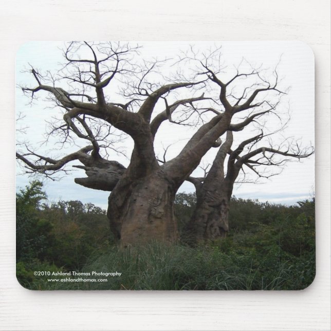 Baobab-Baum Mousepad (Vorne)