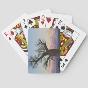 Baobab-Bäume, Berenty, Toliara, Madagaskar Spielkarten