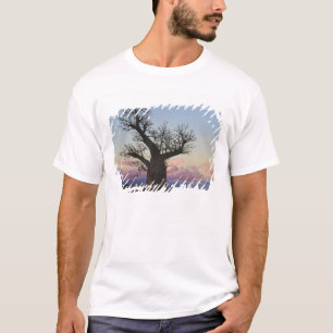 Baobab-Bäume, Berenty, Toliara, Madagaskar T-Shirt