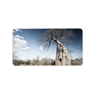Baobab Tree at Mana Pools National Park, Simbabwe Adressaufkleber