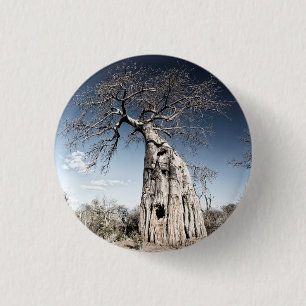 Baobab Tree at Mana Pools National Park, Simbabwe Button