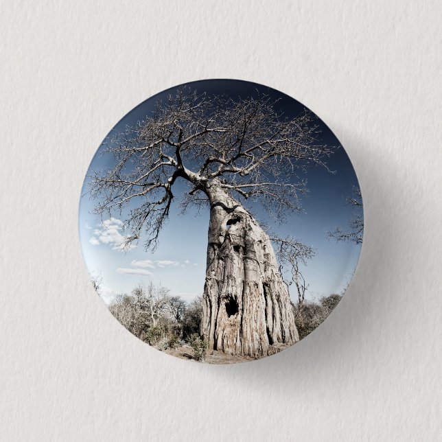 Baobab Tree at Mana Pools National Park, Simbabwe Button (Vorderseite)