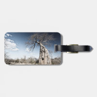 Baobab Tree at Mana Pools National Park, Simbabwe