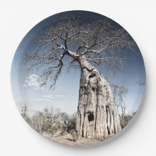 Baobab Tree at Mana Pools Nationalpark Foto Pappteller