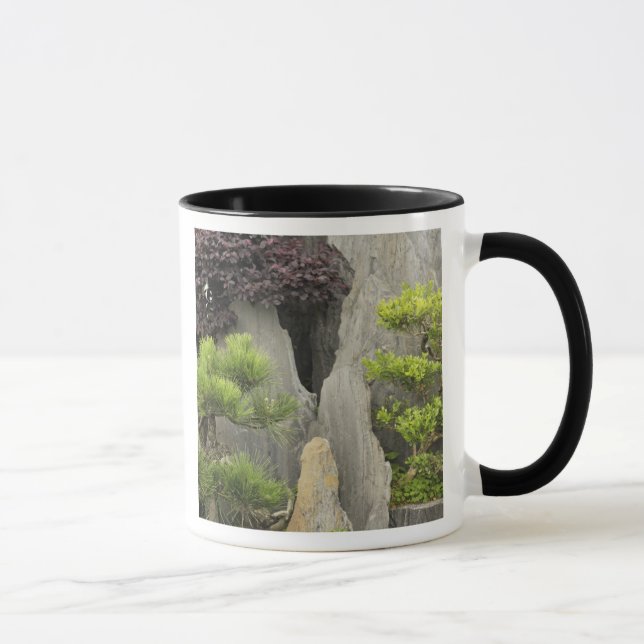 Baos Familiengarten, Huangshan, China.2 Tasse (Rechts)