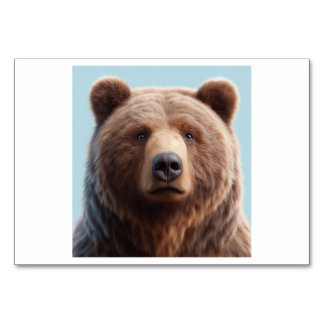 Bär (熊 / xióng) - Chinesische Flash Cards Tischnummer