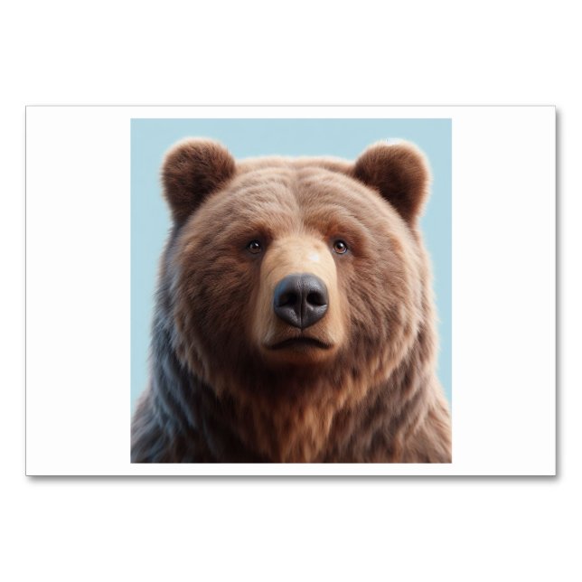 Bär (熊 / xióng) - Chinesische Flash Cards Tischnummer (Vorderseite)