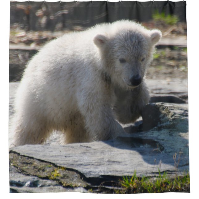 Bär 07 duschvorhang (Vorderseite)