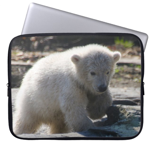 Bär 07 laptopschutzhülle (Vorderseite)
