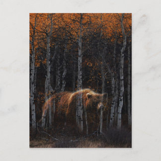 Bär 3 postkarte
