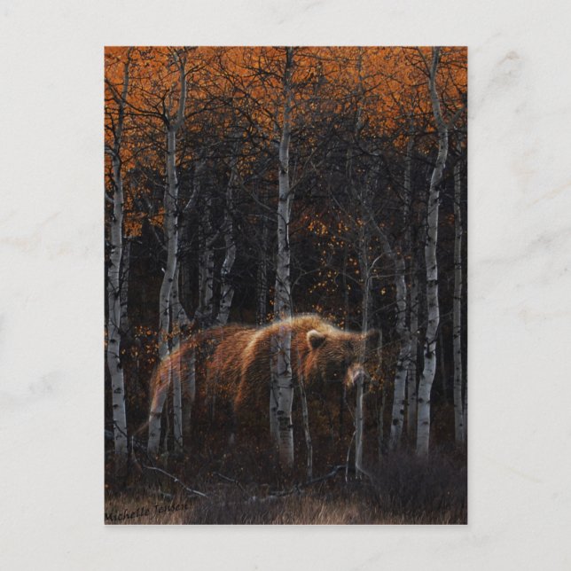 Bär 3 postkarte (Vorderseite)