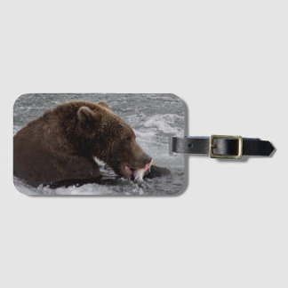 Bär 503 Cubadult Fisherbear Gepäckanhänger 2