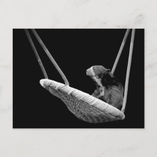 Bär auf dem Swing in Schwarz und Weiß Postkarte