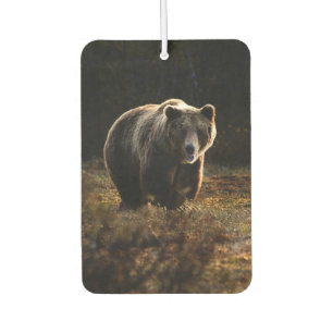 Bär Autolufterfrischer