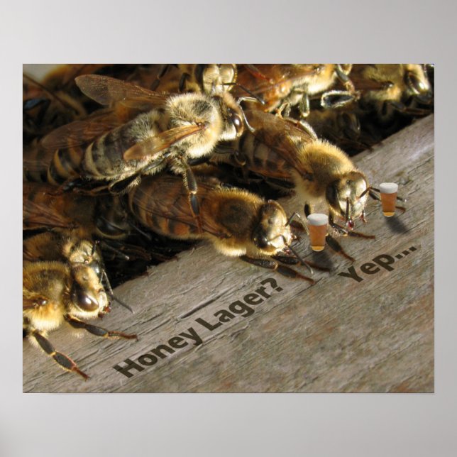 Bar Bees_Honey Lager? Poster (Vorne)