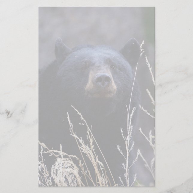 Bär Briefpapier (Vorderseite)