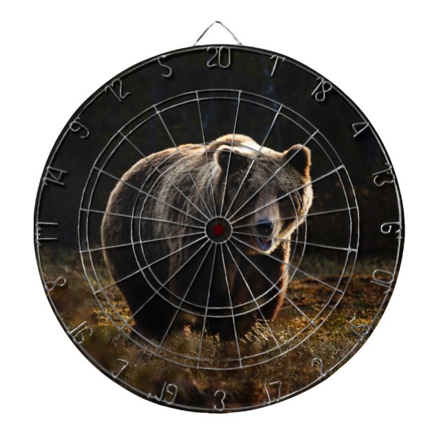 Bär Dartscheibe (vorne)