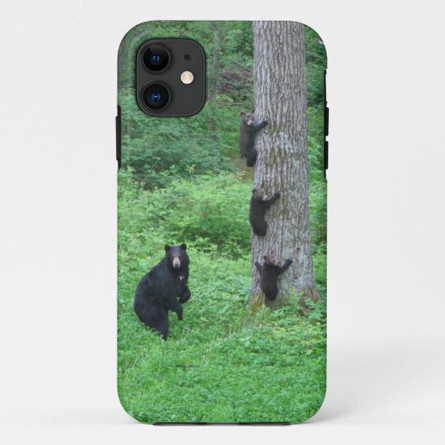 Bär & Drei Kubs Case-Mate iPhone Hülle (Rückseite)