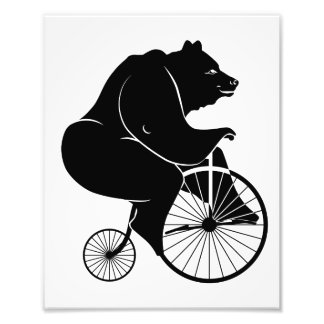 Bär fährt ein Vintage-Hochrad-Fahrrad Fotodruck