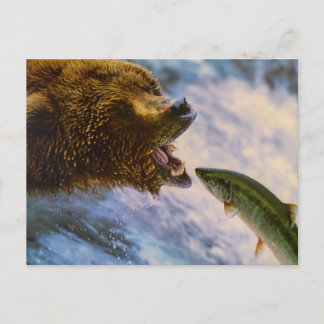 BÄR FISCH WILDES TIER POSTCROSSING POSTKARTE