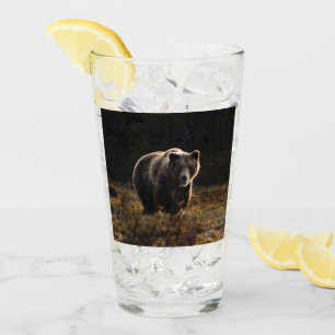 Bär Glas