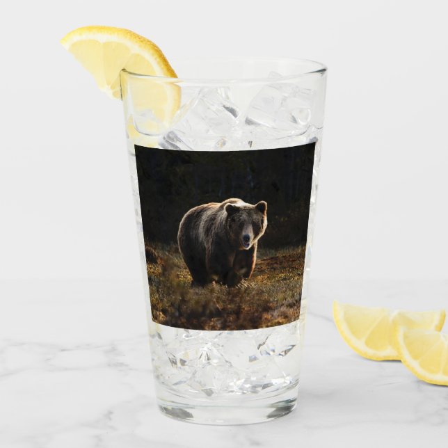 Bär Glas (Vorderseite Ice)