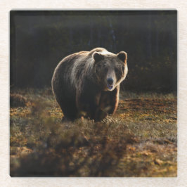 Bär Glasuntersetzer