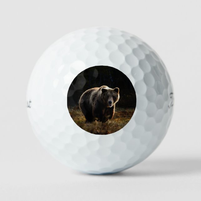 Bär Golfball (Vorderseite)