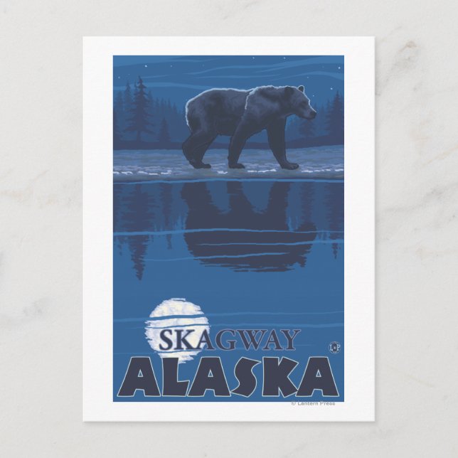 Bär im Mondlicht - Skagway, Alaska Postkarte (Vorderseite)