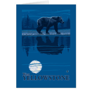 Bär im Mondlicht - West Yellowstone, Montana