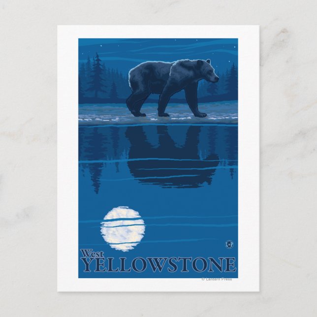Bär im Mondlicht - West Yellowstone, Montana Postkarte (Vorderseite)