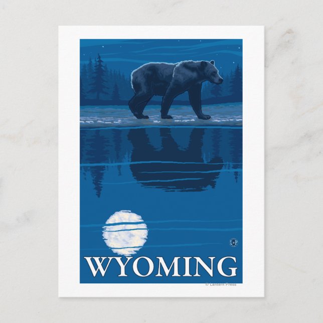 Bär im Mondlicht - Wyoming Postkarte (Vorderseite)